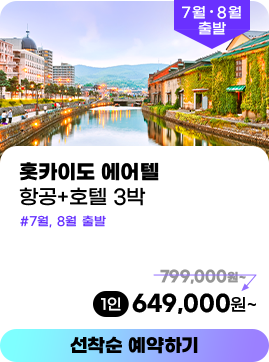 훗카이도 에어텔
